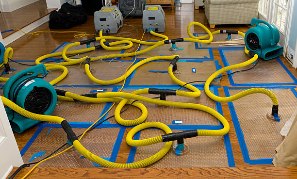 Professional Basement Flood Cleanup technician working in Coaldale, CO